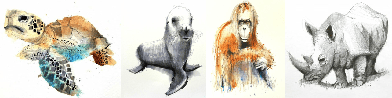 Easy pencil sketch | Animal sketches easy, Easy animal drawings, Animal  drawings